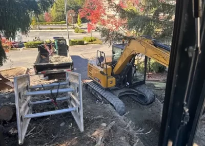 Professional Plumbing Contractor