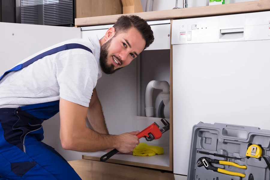 The Role Of Leak Detection In Preventing Mold Growth in Arlington, WA